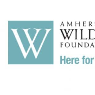 Amherst Wilder Foundation logo