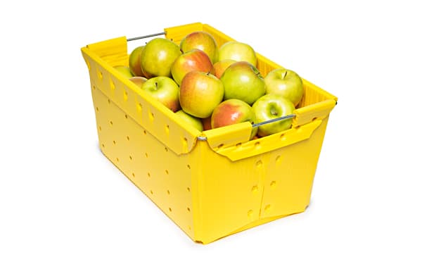 Fruit container, Fruit box - All the agricultural manufacturers