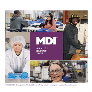 2018 MDI Annual Report