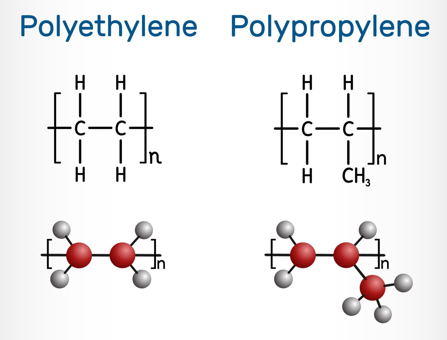 What Is the Difference Between Polyethylene and Polypropylene? | MDI