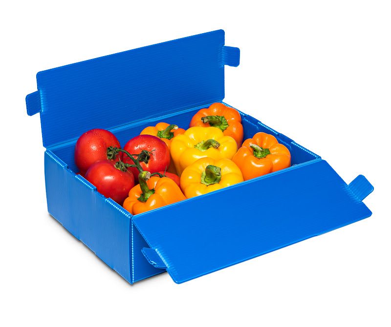 Fall Produce Harvest: Maximize Efficiency with Plastic Harvest Bins